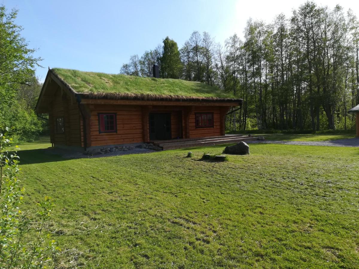 Koidu Puhkemaja - Housity