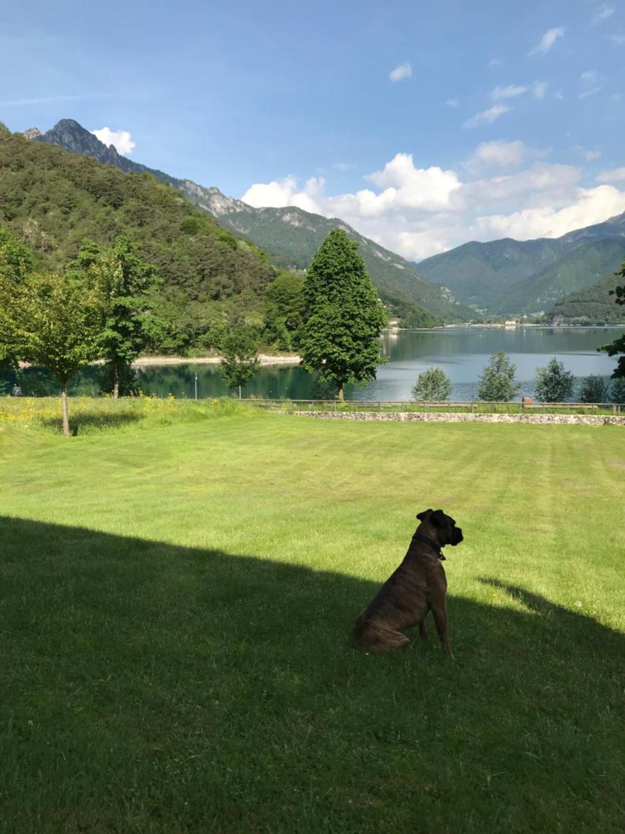 villa Etti cipat 66115 - Housity