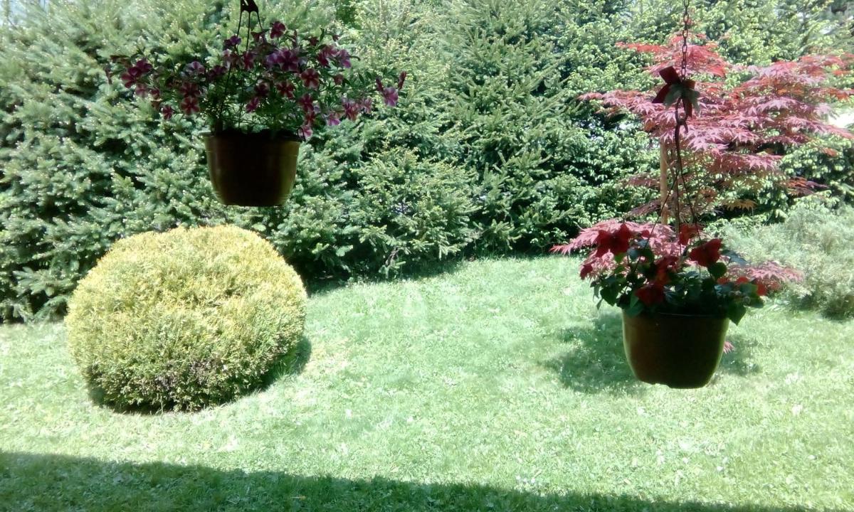 Apartmani Nais Zlatibor - Housity