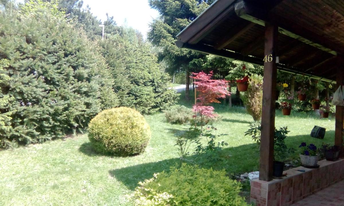 Apartmani Nais Zlatibor - Housity