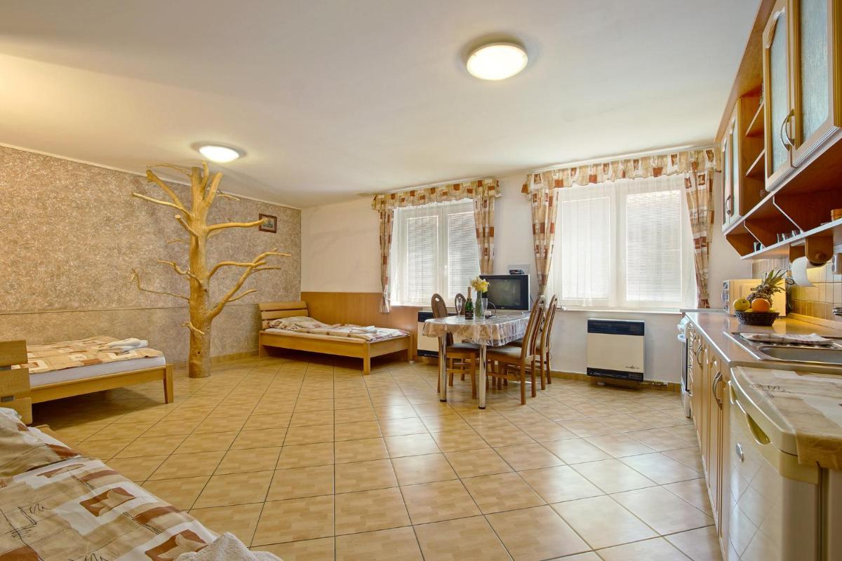 Penzion U Paroháče - Housity