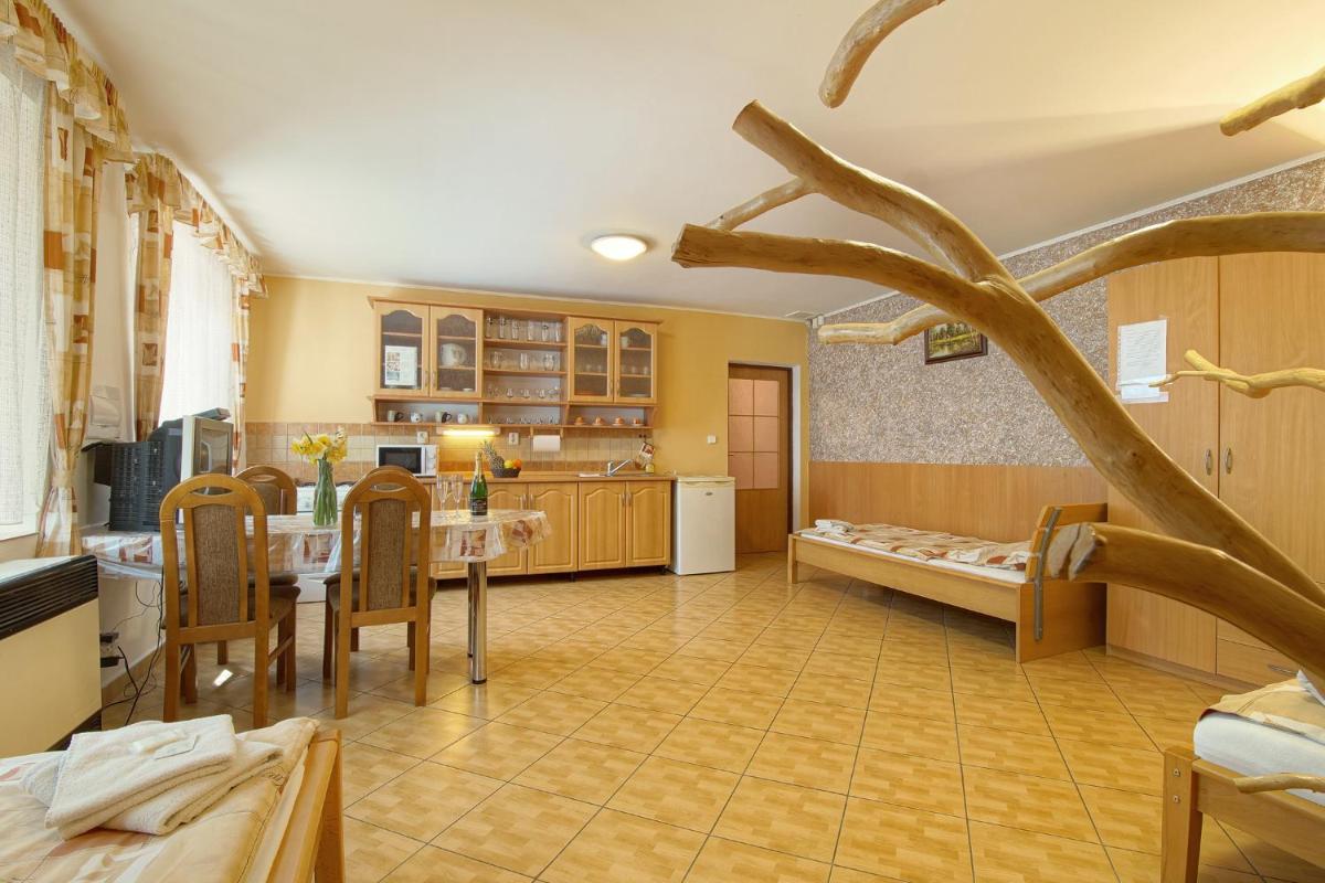 Penzion U Paroháče - Housity
