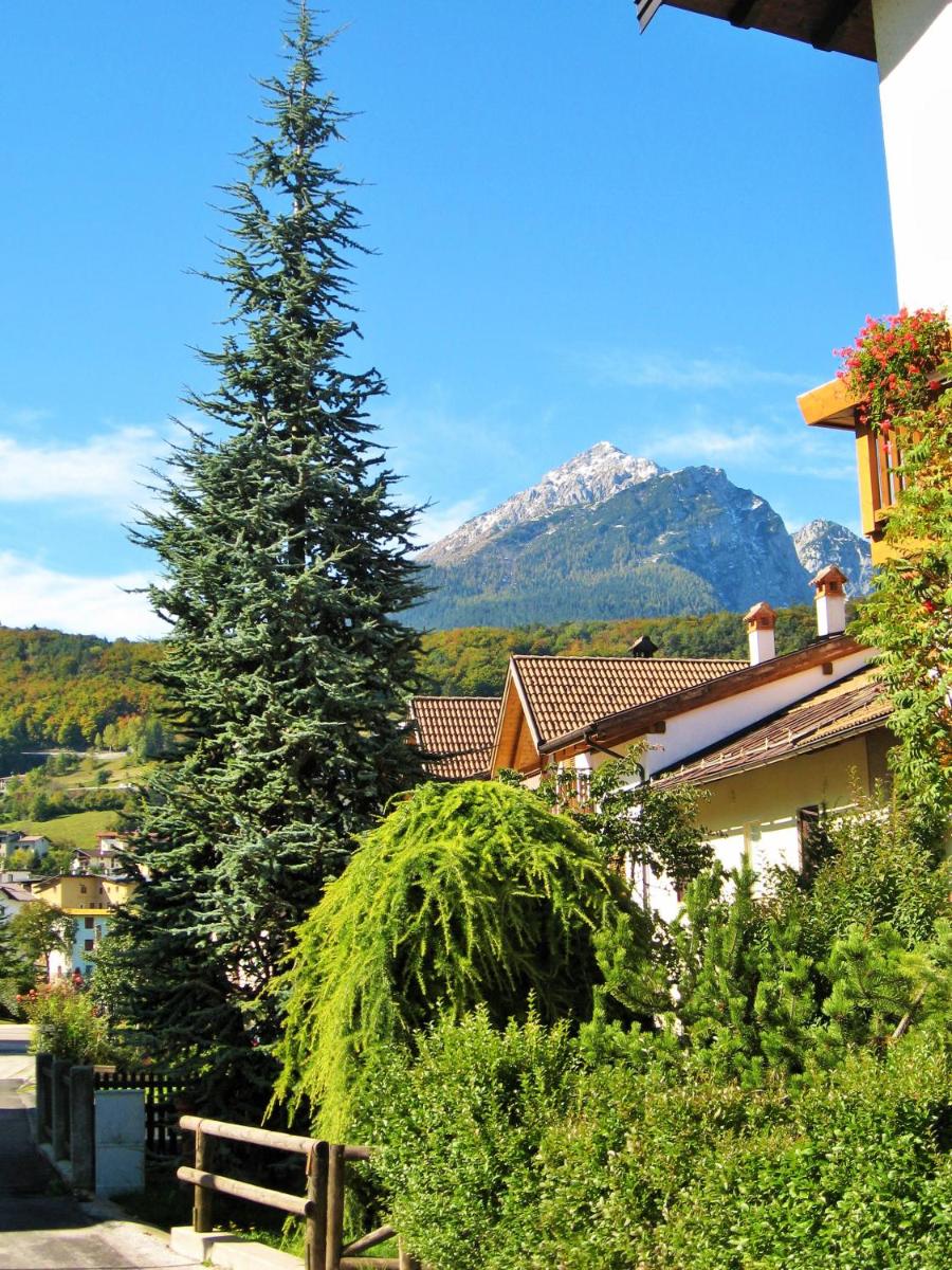 Alla casa del cedro - Housity