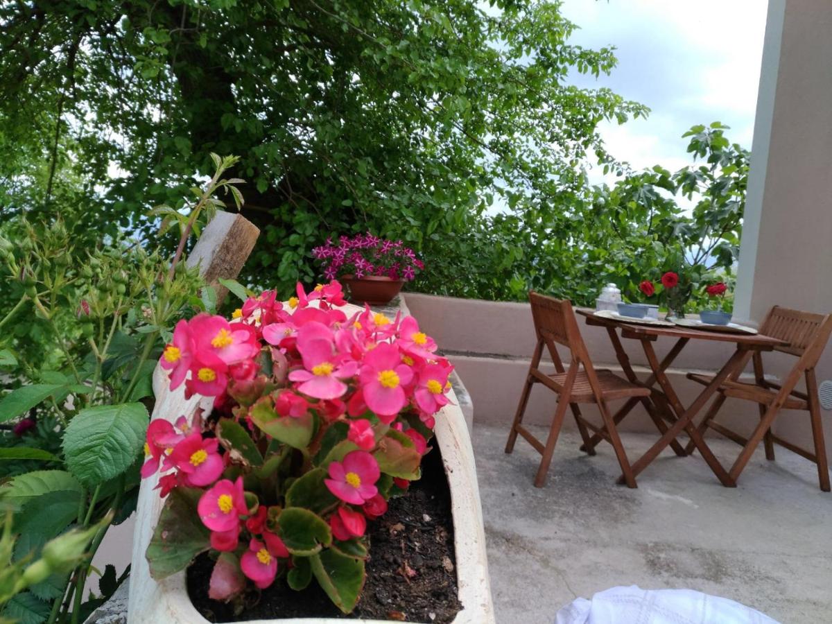 L'Antico Gelso - Housity