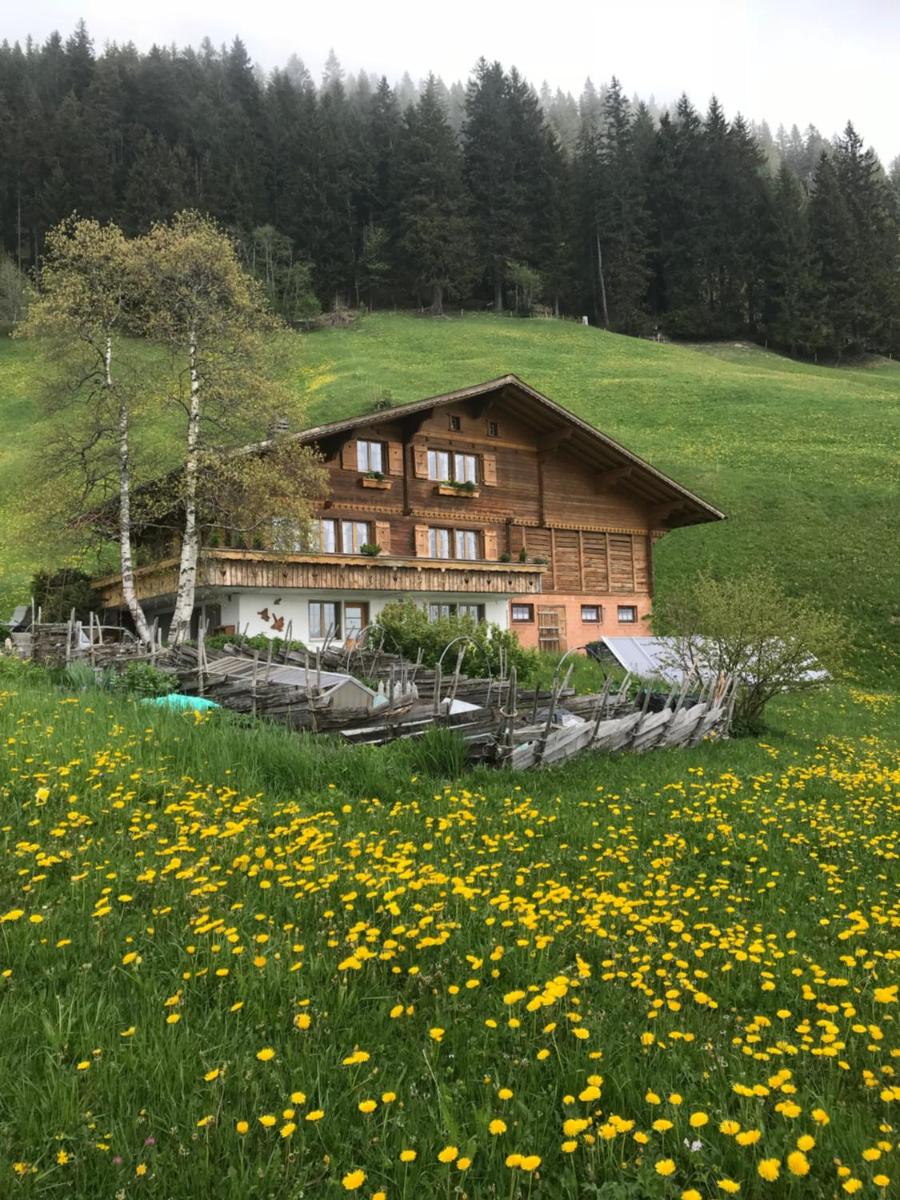 Abelied - Housity