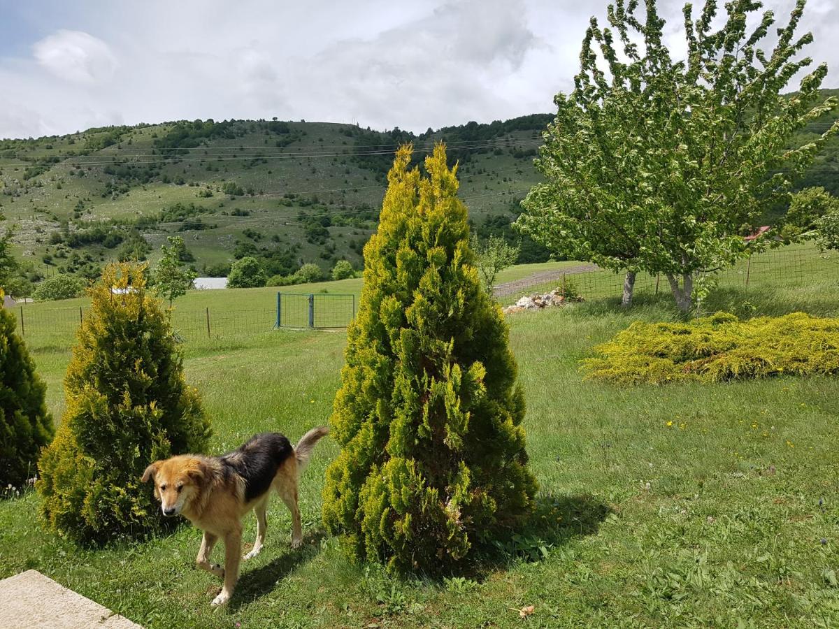 Holiday home Zavičaj - Housity
