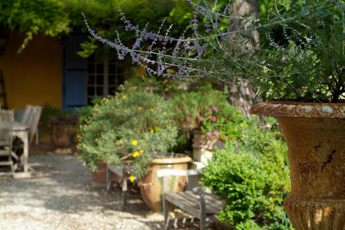 Jardin de l'établissement Mas de la Chapelle
