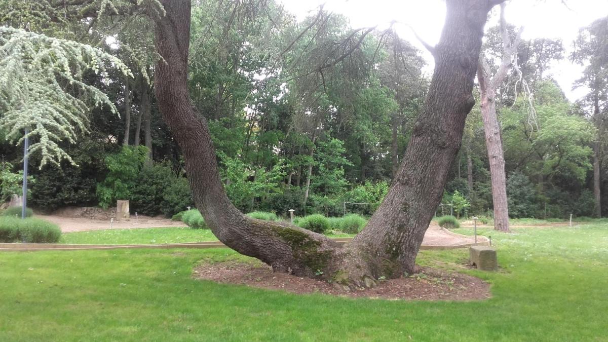 Jardin de l'établissement Logis Hôtel Château De Palaja