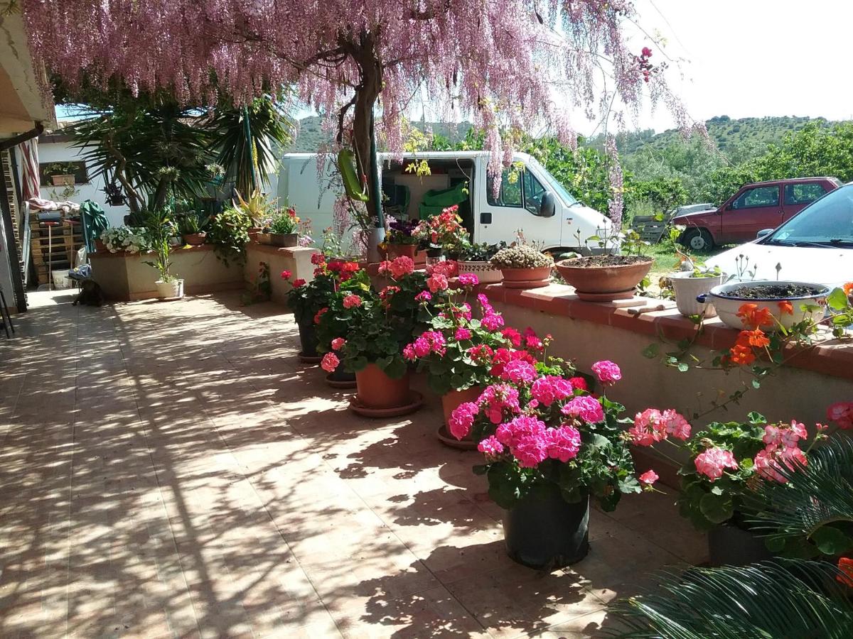 Su Pirastu - Housity