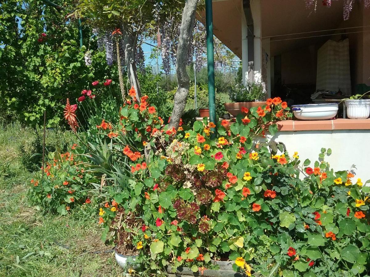 Su Pirastu - Housity
