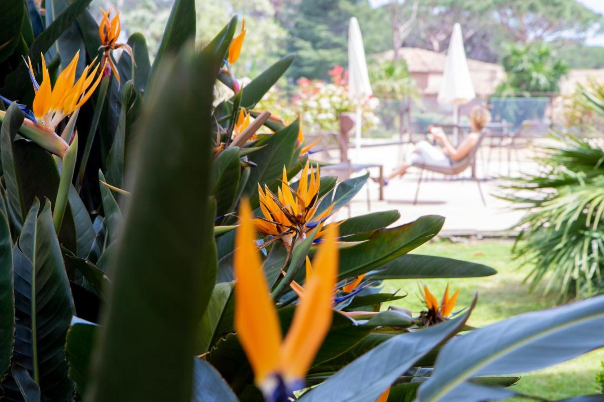 Jardin de l'établissement Hôtel Les Jardins De Sainte-Maxime