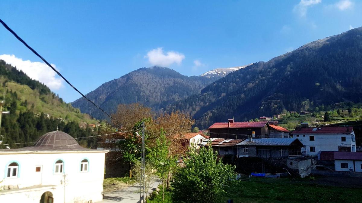 Talipoğlu Apart - Housity
