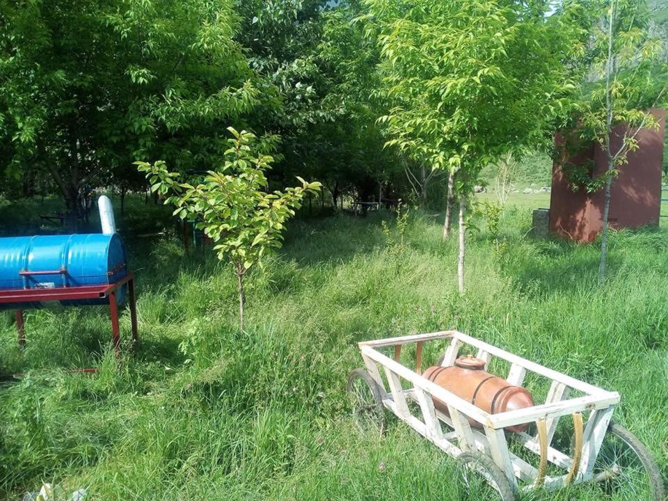 Getap in Bjni - Hizvo