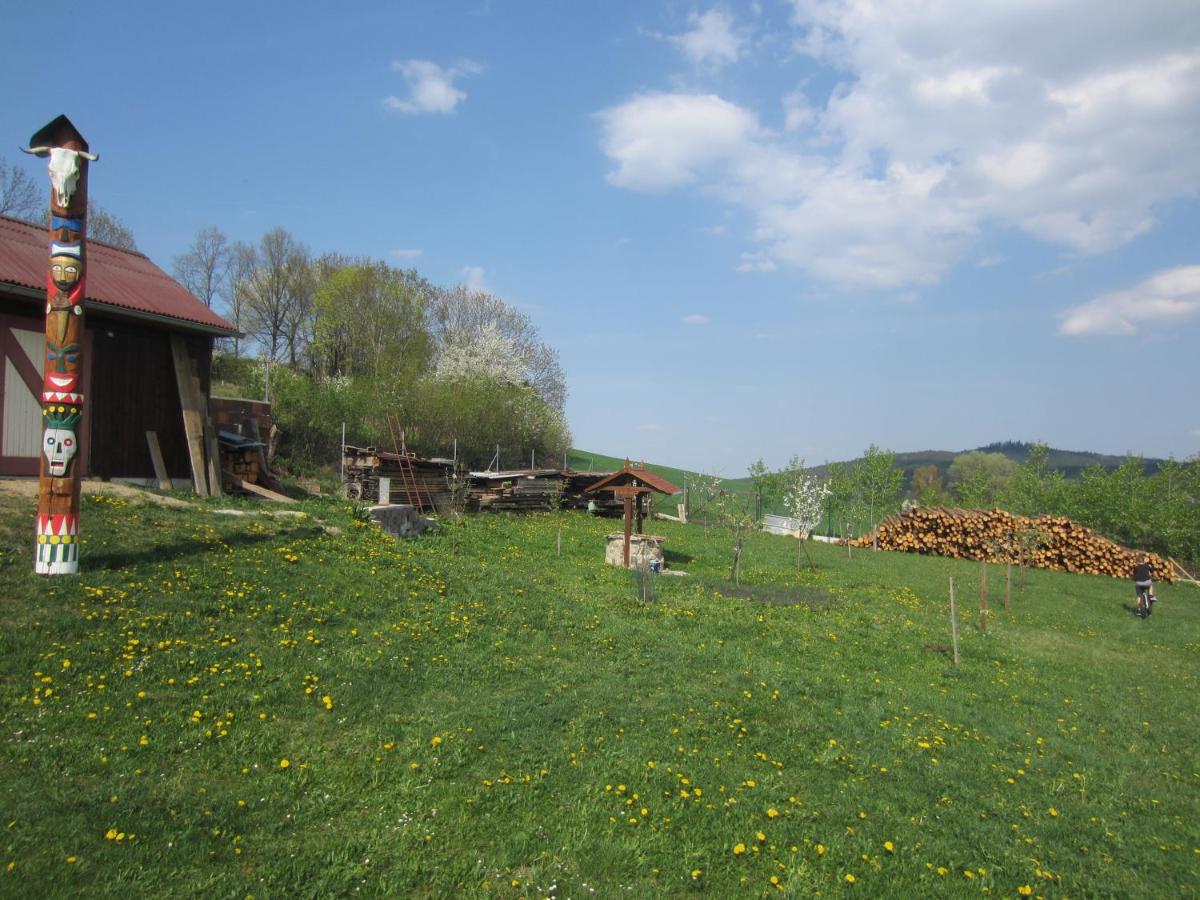 Šumavský domek v Záhoří - Housity