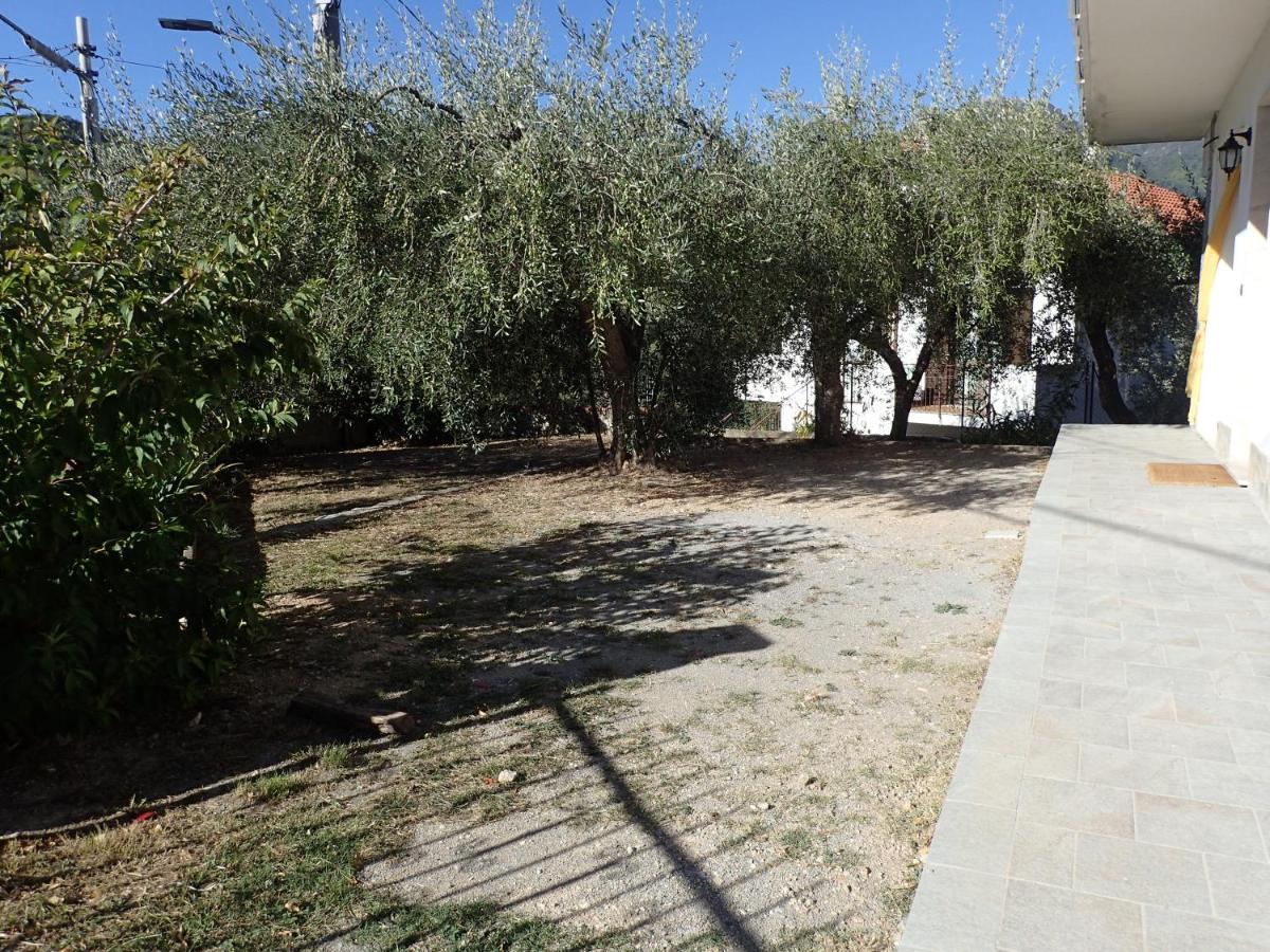 Casetta tra gli Ulivi vicina al Mare - Housity