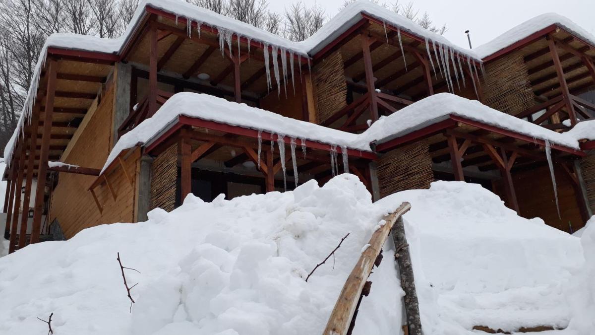 Vila Jana Mavrovo - Housity