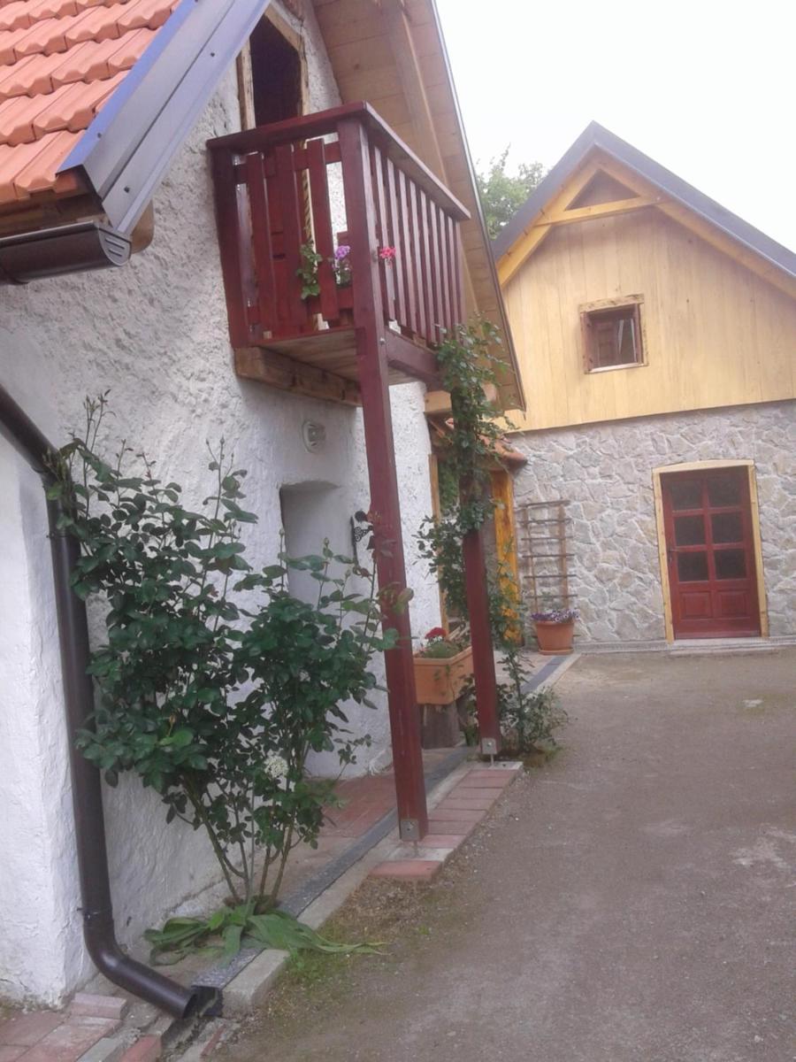 Latin - Housity
