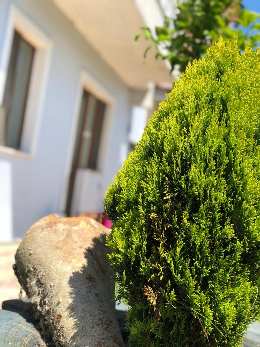 Aydın Apart Pansiyon - Housity
