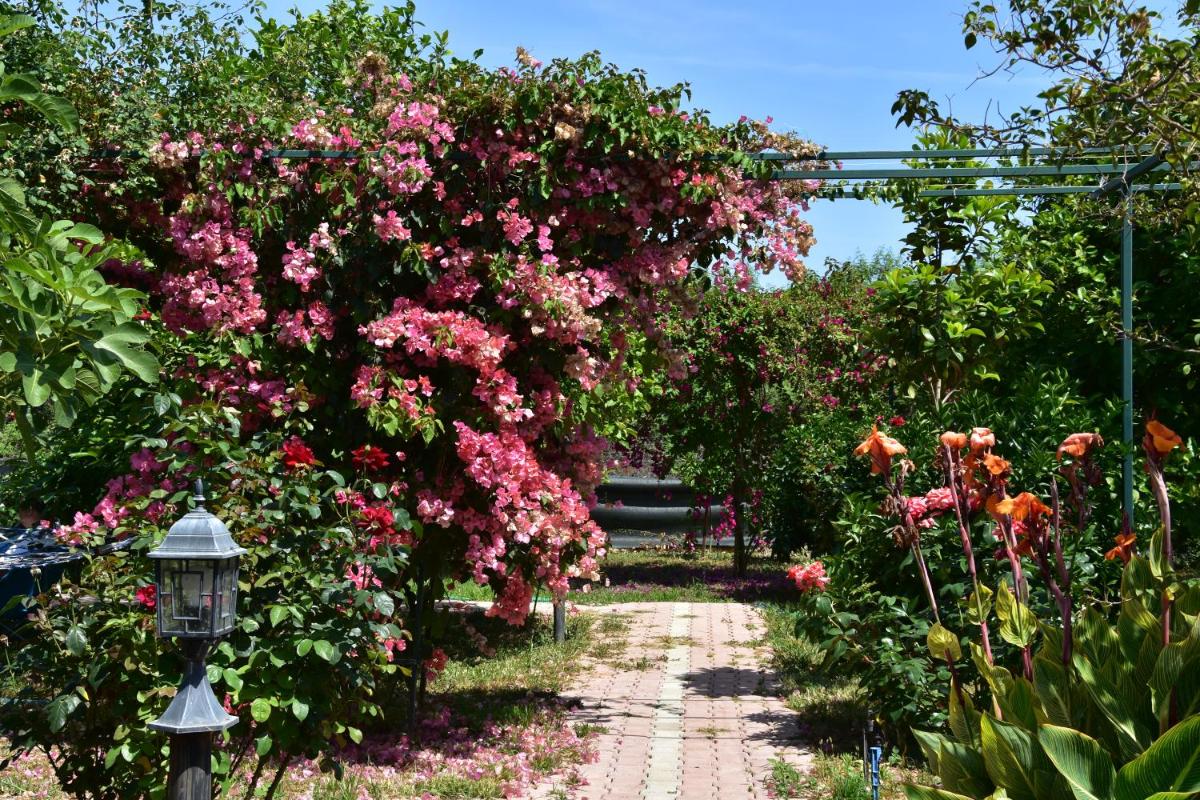Lemon Garden Lodge - Housity