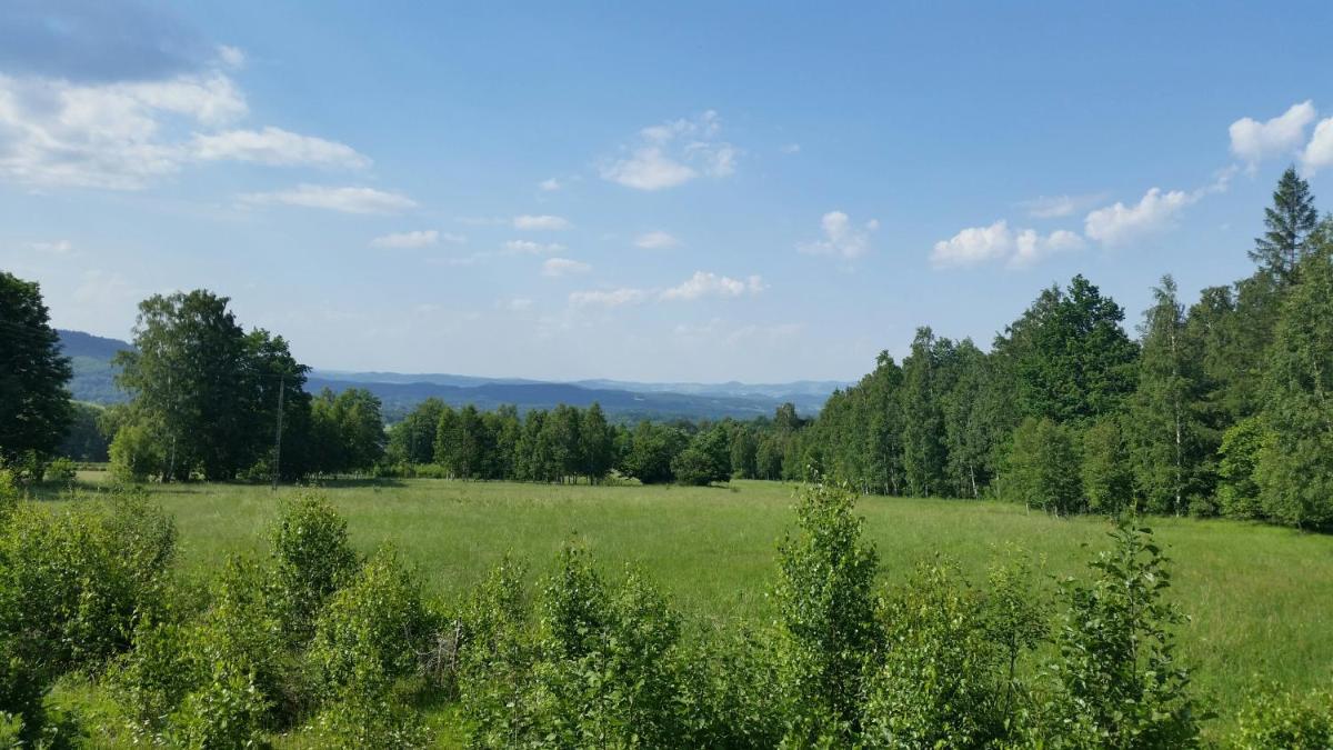 Willa Górska - Housity