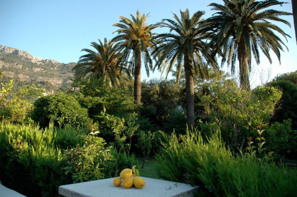 Paisaje cerca de este hotel