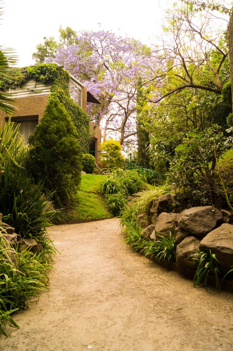Suite 5A, Altavista, Garden House, Welcome to San Angel - Housity