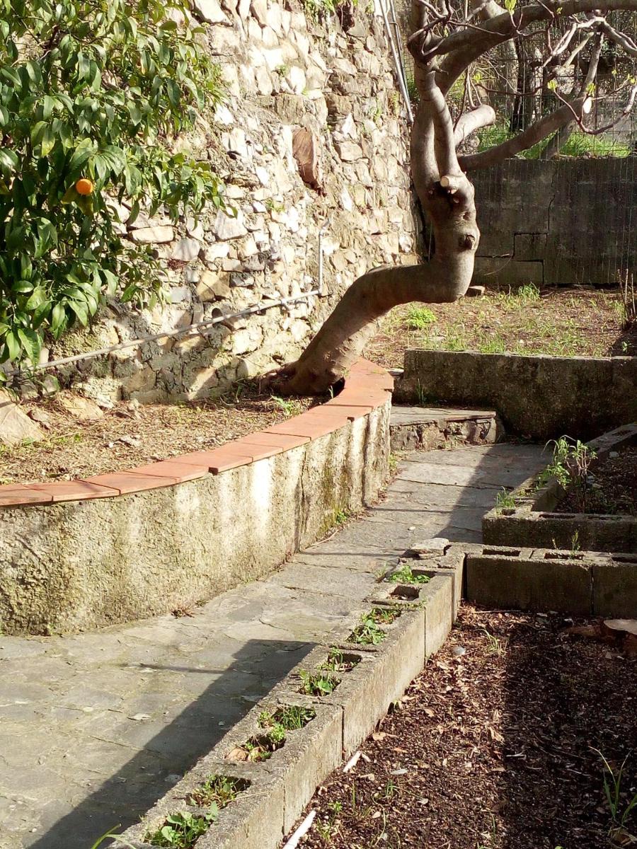 Casa Picasso - Housity