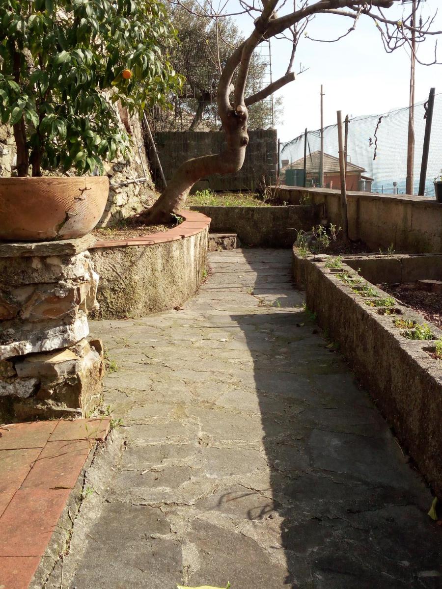 Casa Picasso - Housity