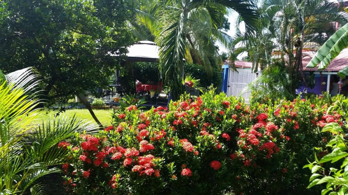 Posada Nativa Licy - Housity