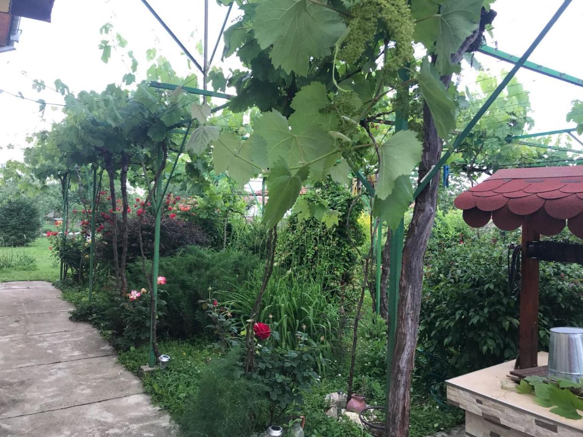 Guesthouse Planinsko Gnezdo - Housity