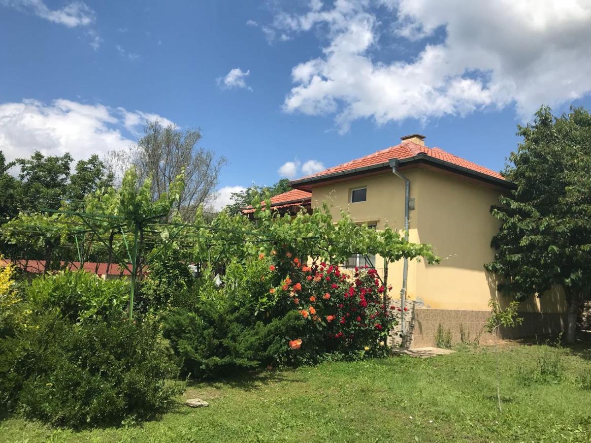 Guesthouse Planinsko Gnezdo - Housity
