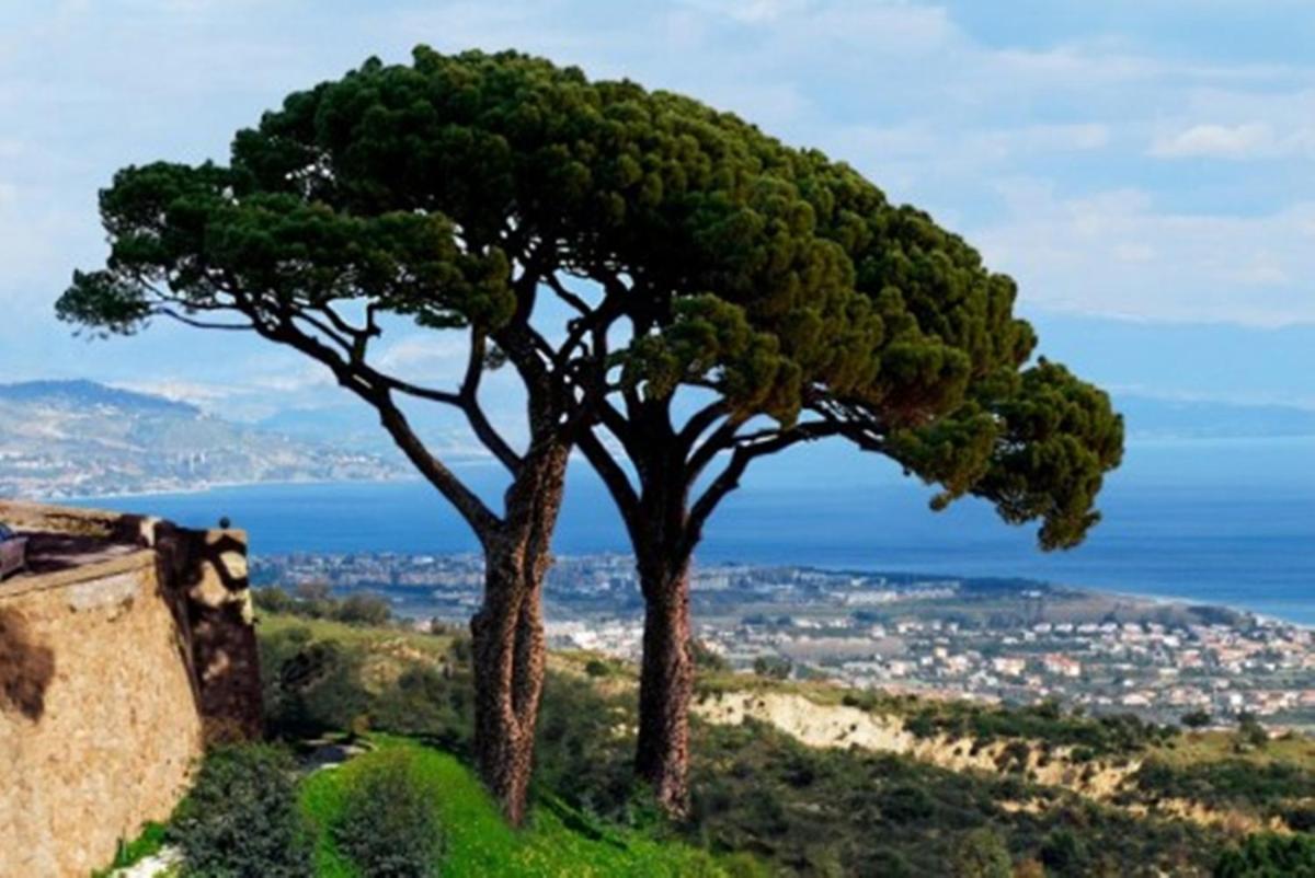 Case Vacanza Sant'Andrea - Housity