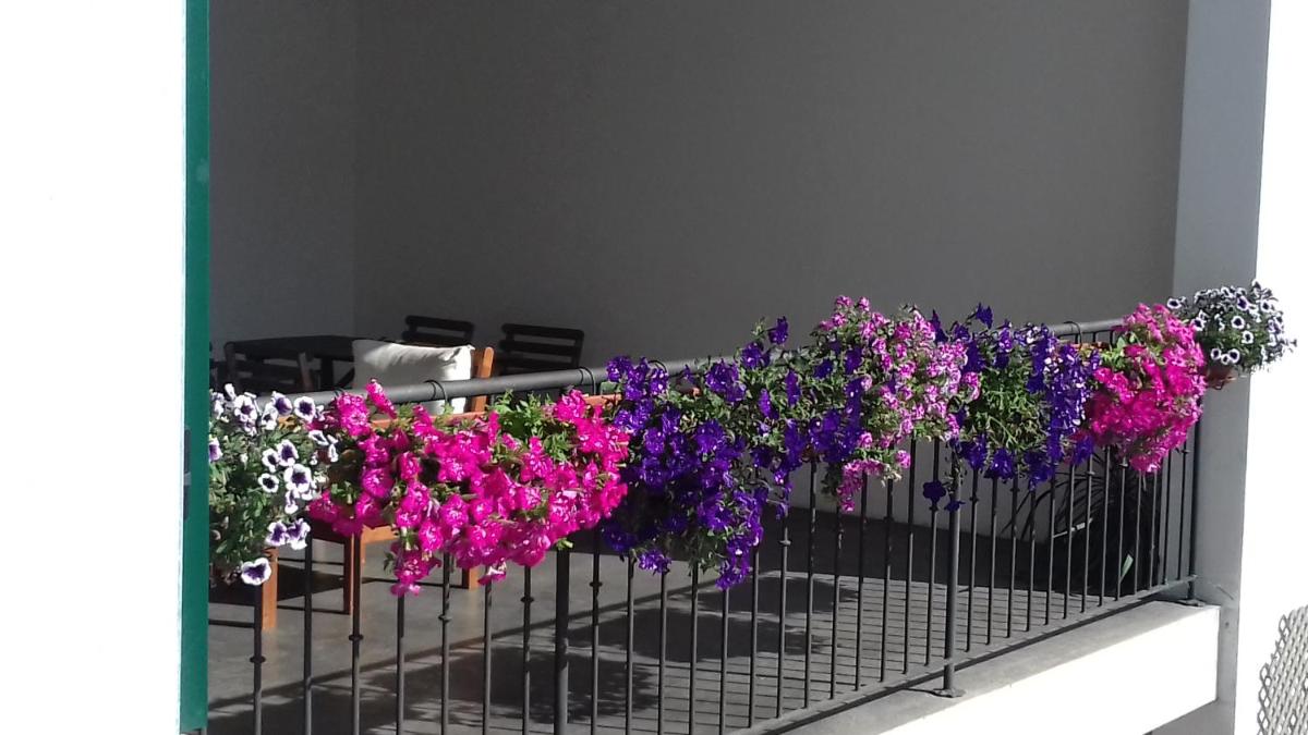 Molino Antico B&B - Housity