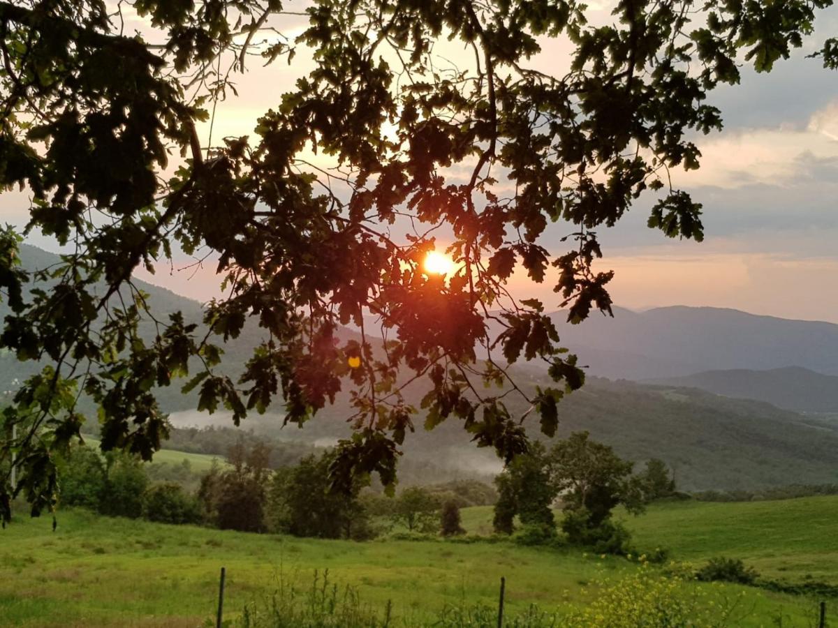 Agriturismo Da Pietro - Housity