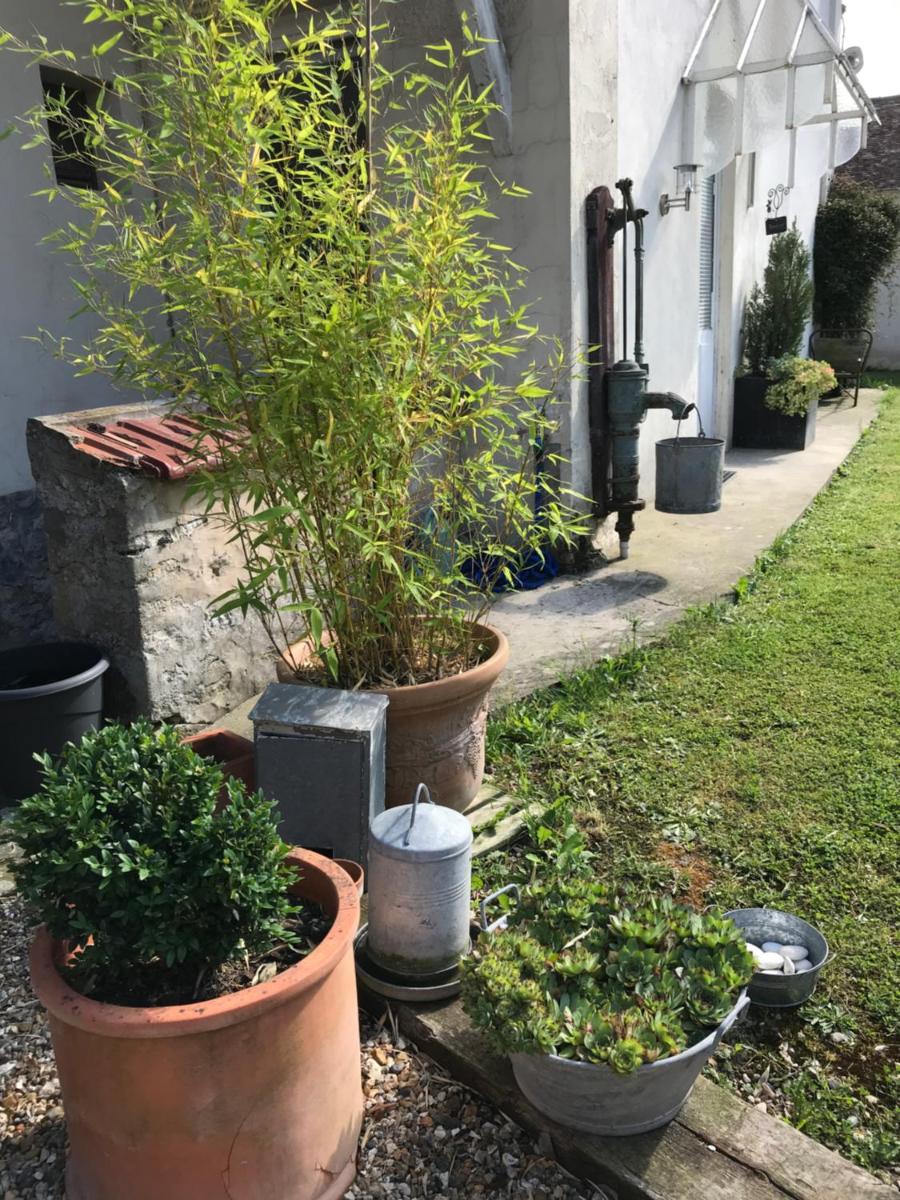 La petite maison - Housity