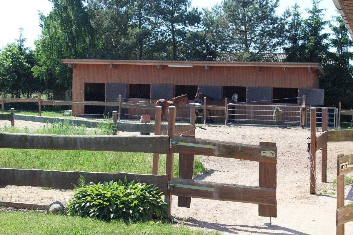 Landhaus Peene - Housity