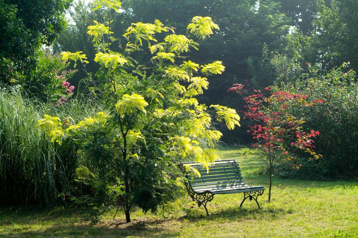 Jardin de l'établissement Mas de la Chapelle