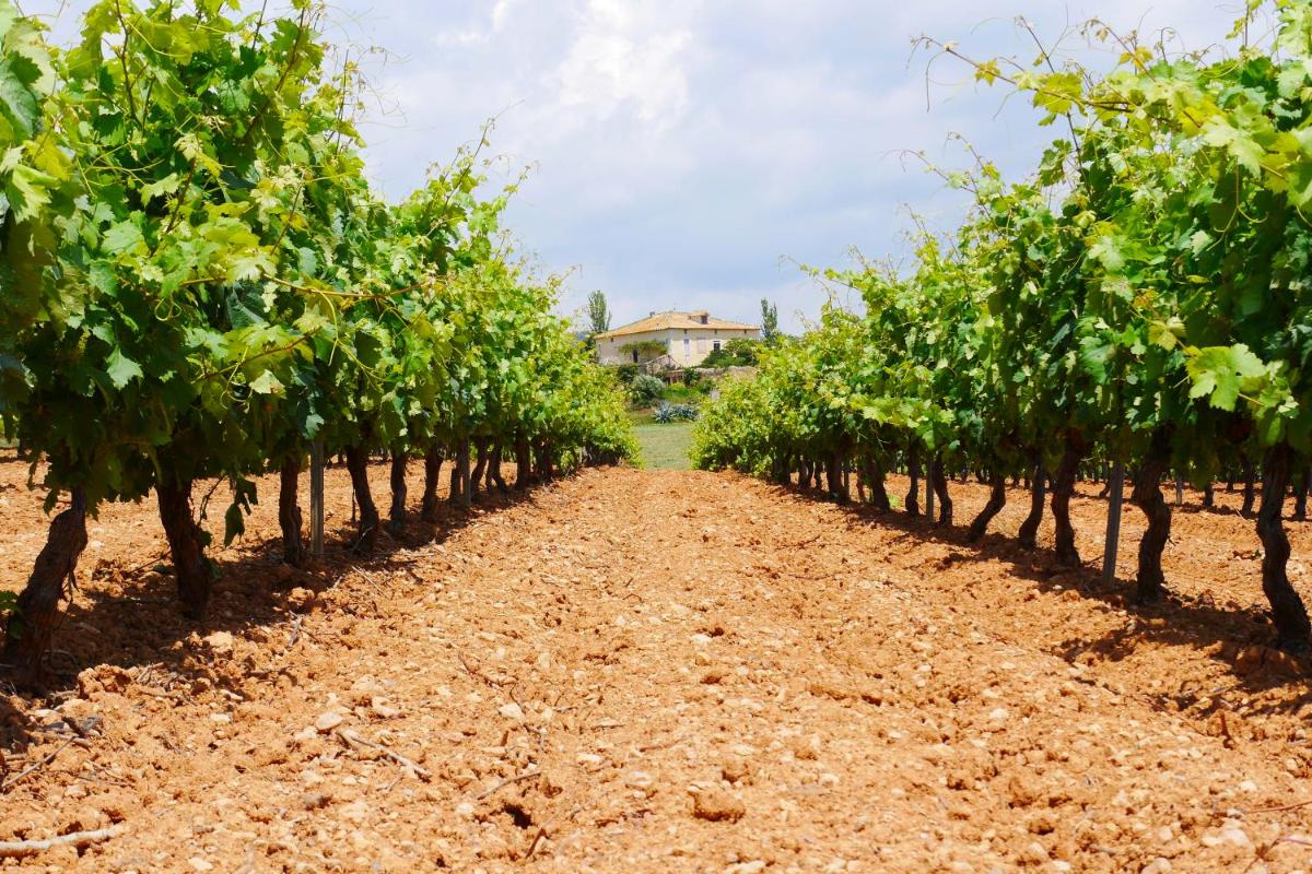Mas Castell de Gimenelles - Housity