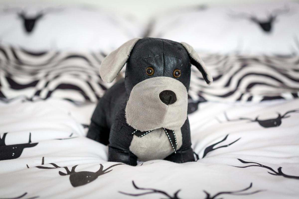 Animal House - StayinWroclaw - Housity