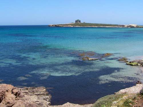 Orazio U Vitturisi - Housity