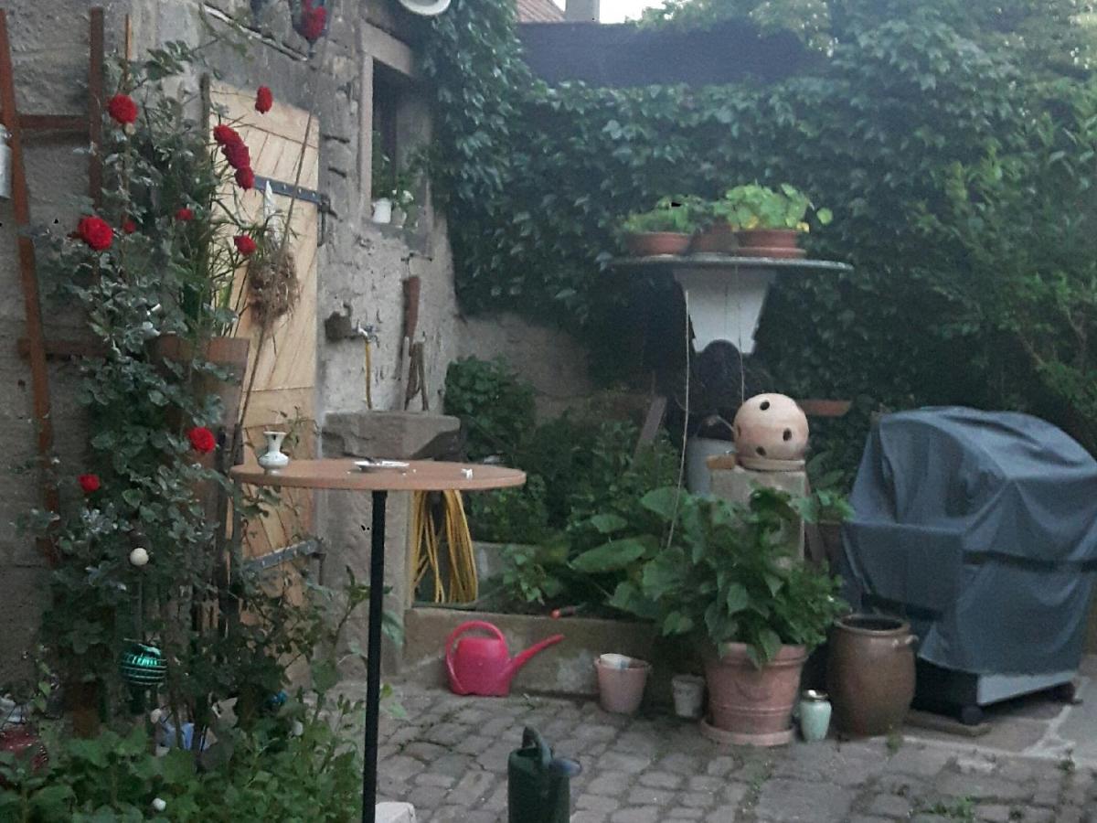 Ferienwohnung Hammelburg - Housity