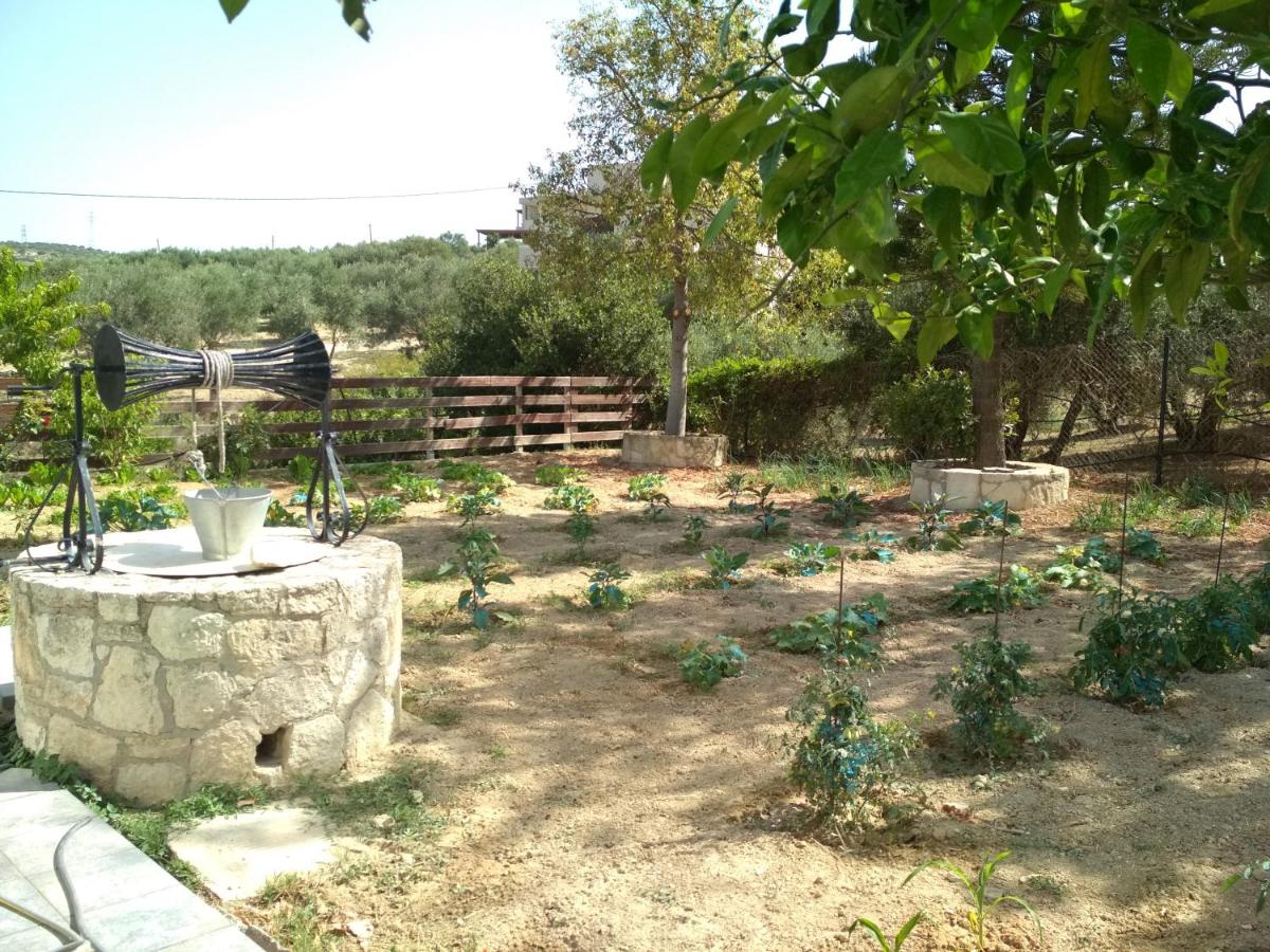 Eden Garden Villa near Knossos - Housity