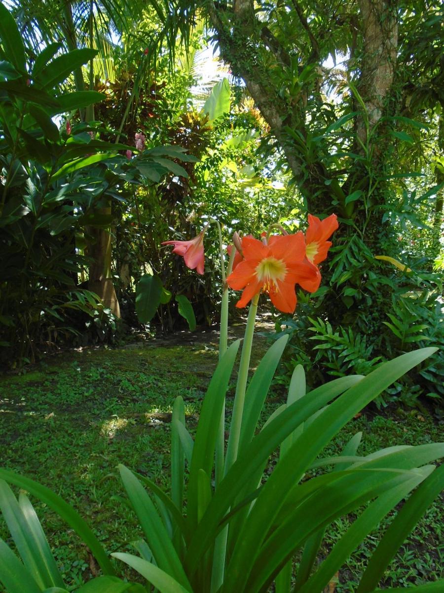J and H Garden Cabinas - Housity
