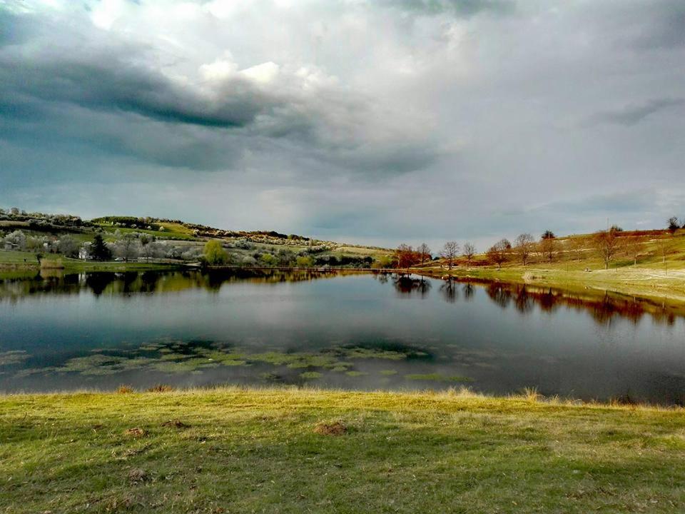 ***Vila Toše D. Kruševo - Housity