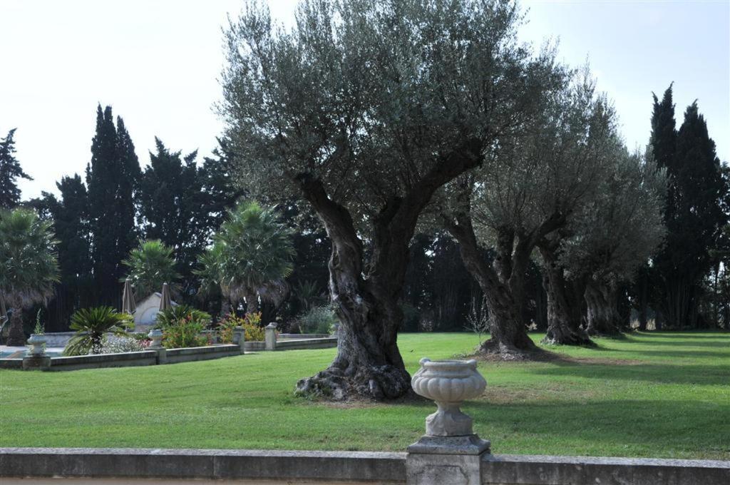 Jardin de l'établissement Domaine du Grand Malherbes