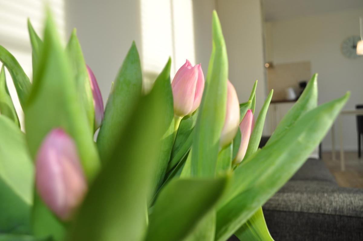 Appartement Eigen Tijd - Housity
