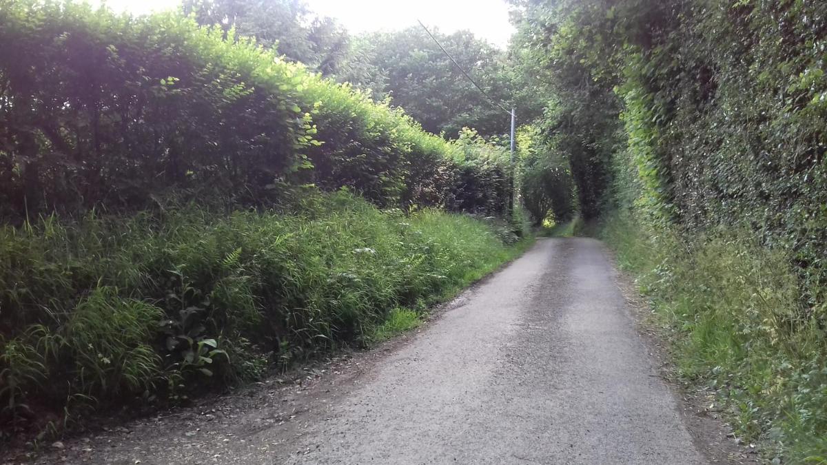 La martre - Housity