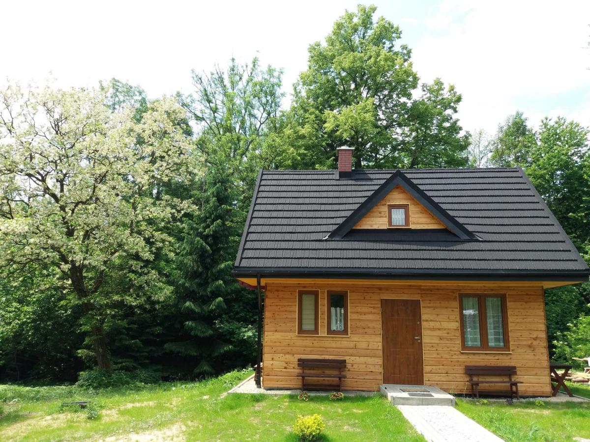 U Eskulapa Bieszczady - Housity
