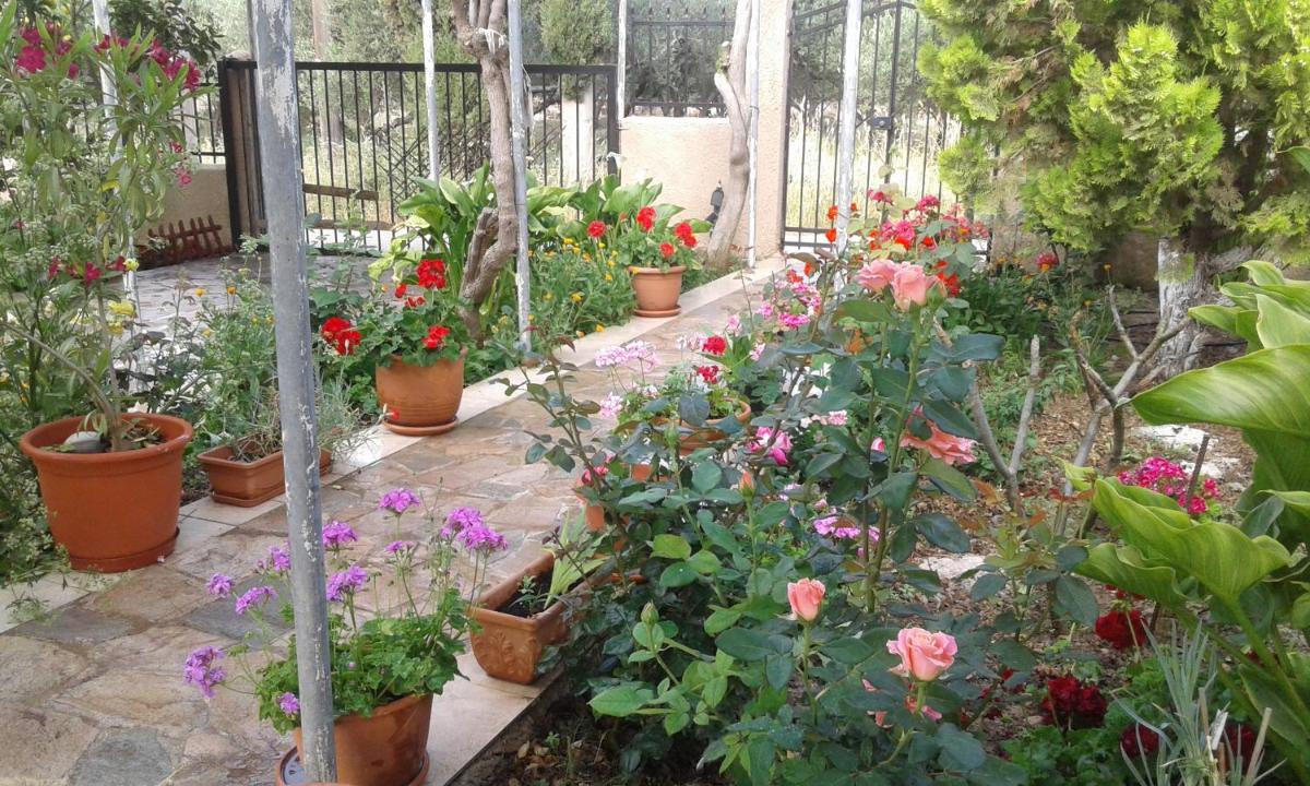 Phaistos Country House - Housity