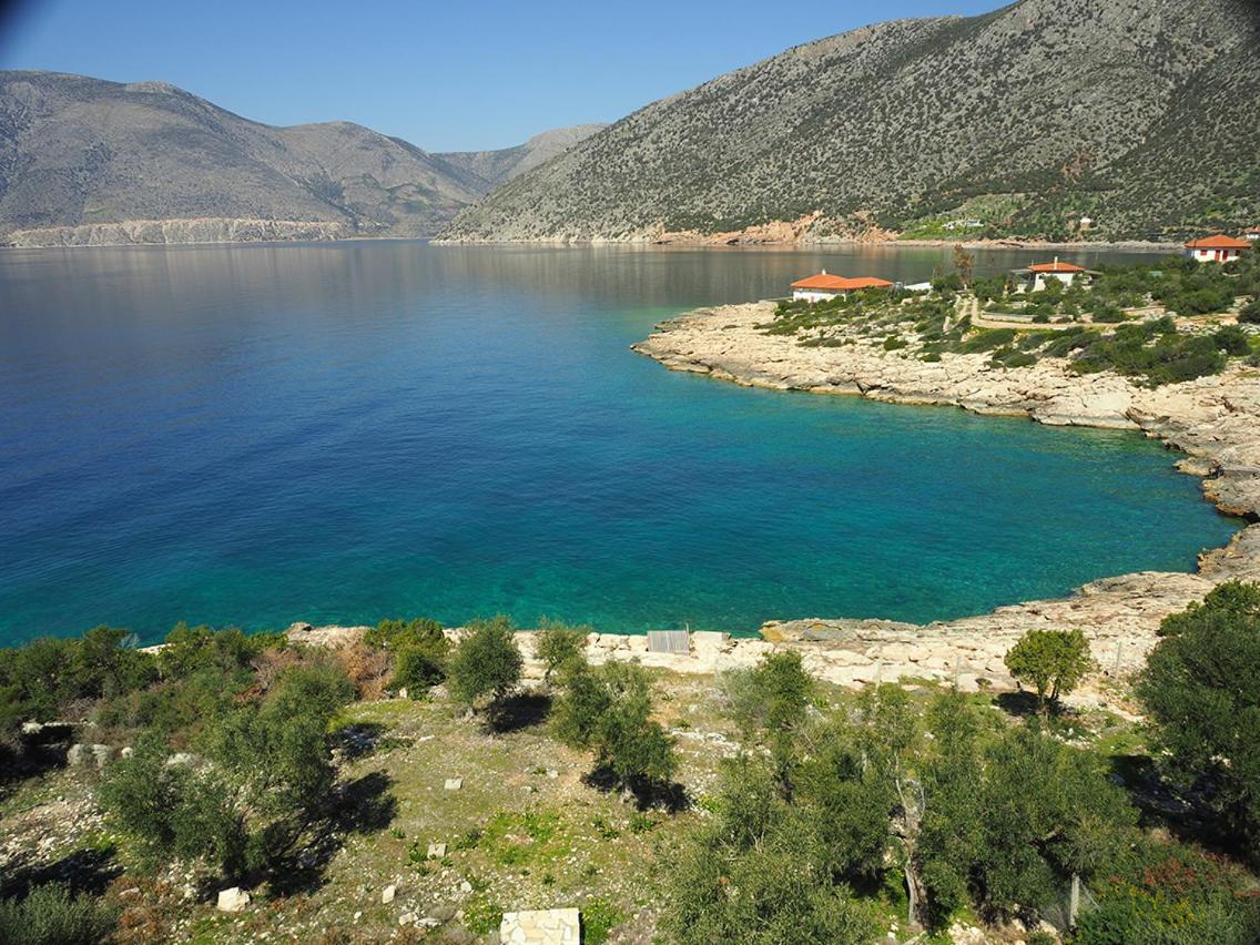 Apartment by The Sea Near Athens - Housity